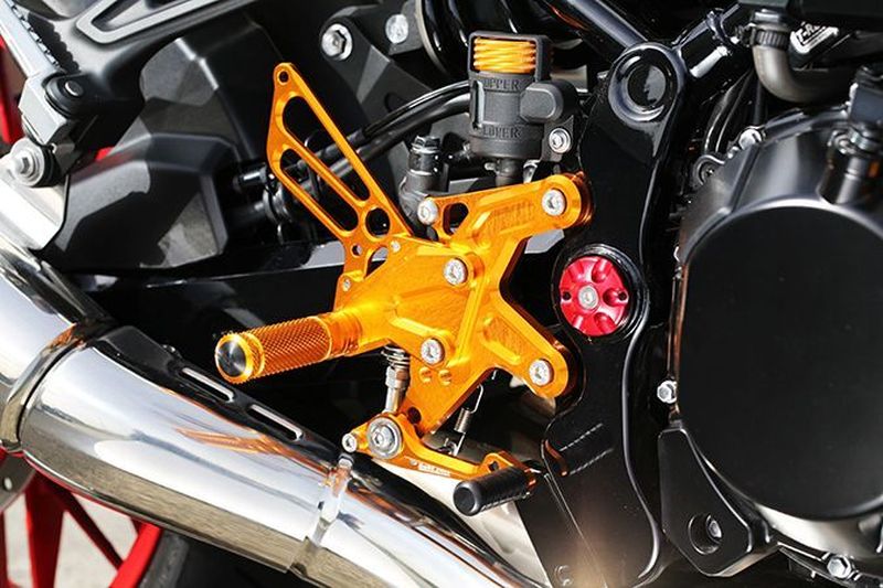 BabyFace ベビーフェイス パフォーマンスステップキット ゴールド Z900RS '18｜Global Z Market
