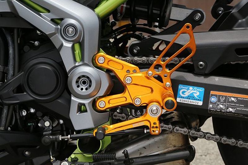 BabyFace ベビーフェイス パフォーマンスステップキット ゴールド Z900(ZR900B) 17