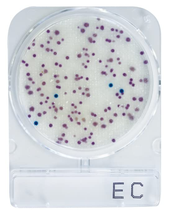 島津ダイアグノスティクス コンパクトドライ EC 40枚 (大腸菌・大腸菌群数測定用/4枚&times;10袋)｜Global Collection店