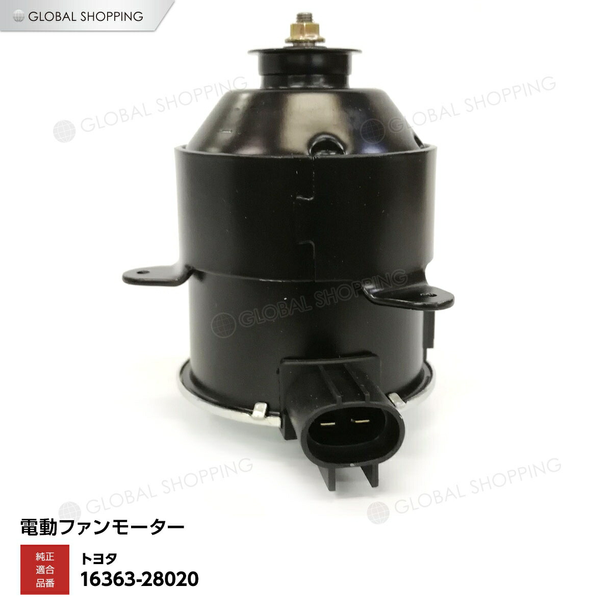 rfm-006-5.jpg