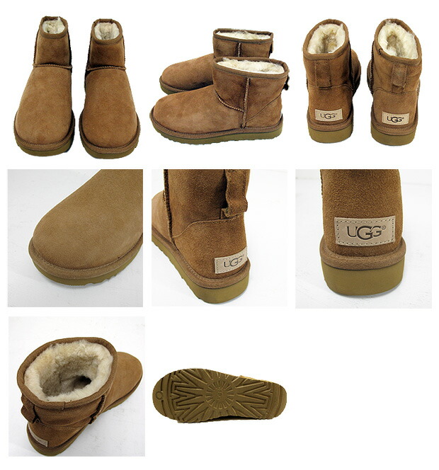 ugg globe ugg globe