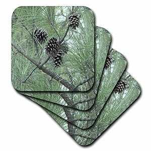3dRose CST_23812_3 Pine Cones Ceramic Tile Coasters, (Set of 4)