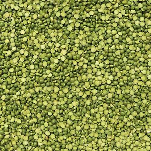 レンズ豆グリーンレアード #1- 22ポンド Dylmine Health LENTILS GREEN LAIRD #1- 22lb