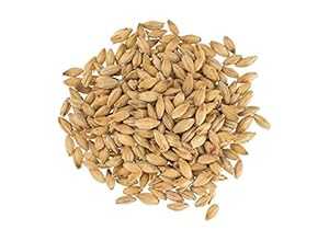 ブリューマスター GR352E モルト - ベアーズ モルト マリス オッター ペール エール - 5 LB Brewmaster-GR352E Malt - Bairds Malt Maris Otter Pale Ale - 5 LB