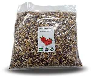 Mulberry Lane Farms Multi-colored Popcorn Popping Corn 5 Pounds (Calico or Rainbow) Kernels, USDA Certified Organic, Non-GMO Bulk, Product of USA