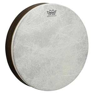 楽天市場】パドルドラム PD1010TMSD レモ Remo Paddle Drums 10インチ