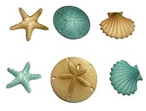 12pk Beach Comber Side Sand Water Sea Creatures Sea Shells Star Fish (Teal) Ready To Use Cake Cupcake Sugar Decoration Toppers CakeSupplyShop 12pk Beach Comber Side Sand Water Sea Creatures Sea Shells Star Fish (Teal)