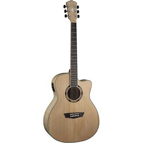 Washburn Apprentice AG40CE with Case, Acoustic Electric Guitar