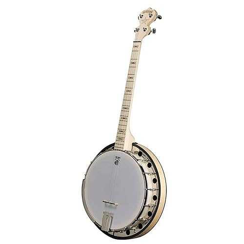 Deering Goodtime 2 19-Fret Tenor Banjo