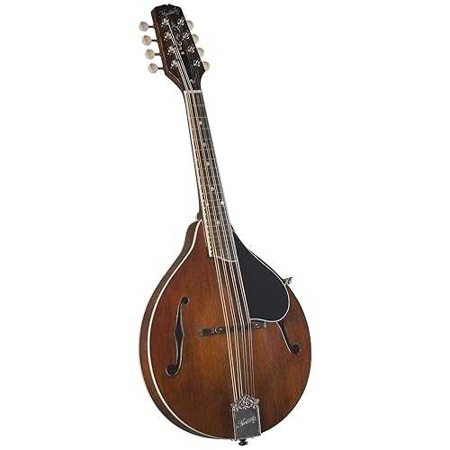 Kentucky KM-256 Artist A-model Mandolin - Transparent Brown