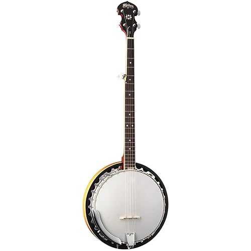 Washburn Americana Series B9-WSH-A 5 String Banjo Natural