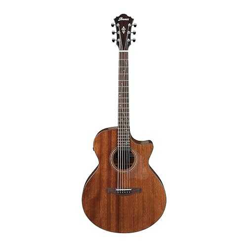 Ibanez AE295 Acoustic-Electric Guitar - Natural Low Gloss