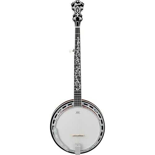 B200 Ibanez B200