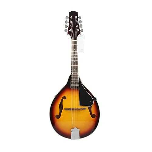 TSTS Mandolin Musical Instrument Musical Instrument Mandolin Beginner Student Playing Musical Instrument Eight String Guitar (Color : 01)