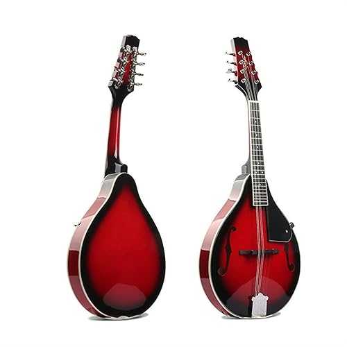 TSTS Mandolin Musical Instrument 8 String Acoustic Mandolin Western Musical Instrument Mandolin Steel String Round Hole