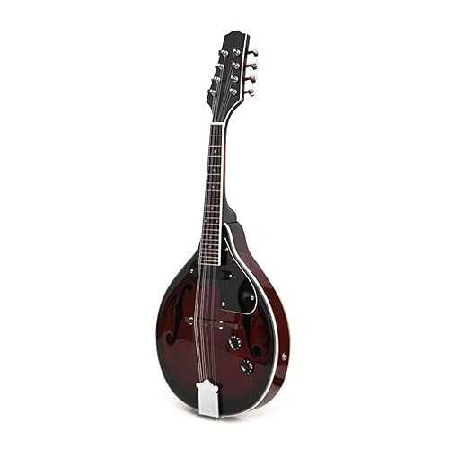 TSTS Mandolin Musical Instrument Musical Instrument Mandolin Electric Guitar Piano