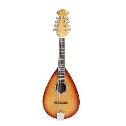 TSTS Mandolin Musical Instrument Treble Mandolin Round Hole Eight Strings Mandolin Instrument with Leather Box