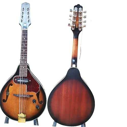 Mandolin Instrument Kit Electric Mandolin Tibetan Guitar Made Of Good Tone Wood TSTS Mandolin Instrument Kit Electric Mandolin Tibetan Guitar Made Of Good Tone Wood