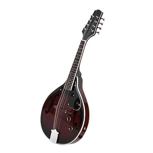 Mandolin Instrument Kit Mandolin Instrument Electric Tibetan Mandolin Guitar TSTS Mandolin Instrument Kit Mandolin Instrument Electric Tibetan Mandolin Guitar