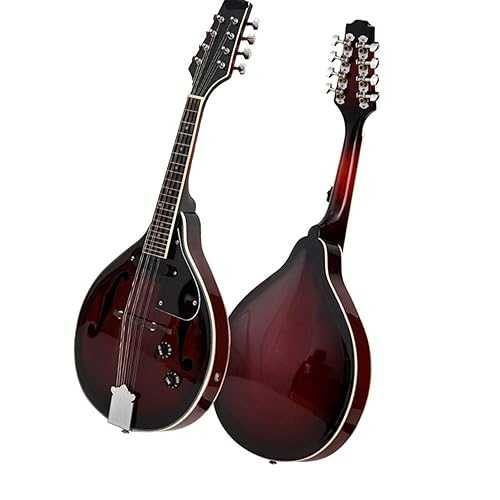 Mandolin Instrument Kit Eight-string Electric Mandolin Folk Instrument Tibetan Mandolin Chrome-plated Tuning Pegs(Not electrified) TSTS Mandolin Instrument Kit Eight-string Electric Mandolin Folk Instrument Tibetan Mandolin Chro