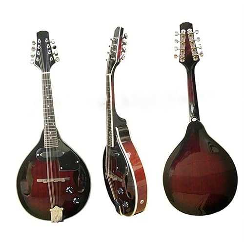 TSTS Mandolin Instrument Kit Electroacoustic Mandolin Dual-purpose Mandolin Sapele Panel Opening Knob