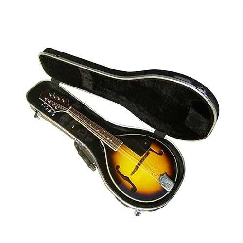Mandolin Instrument Kit Handmade Solid Wood Eight-string Mandolin Instrument With ABS Case TSTS Mandolin Instrument Kit Handmade Solid Wood Eight-string Mandolin Instrument With ABS Case