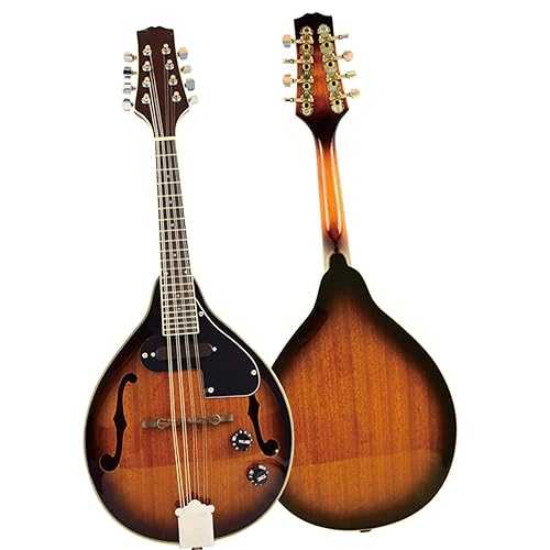 Mandolin Instrument Kit Electric Sapele Mandolin With Sponge Bag TSTS Mandolin Instrument Kit Electric Sapele Mandolin With Sponge Bag