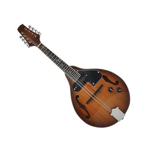 Mandolin Instrument Kit Eight-string Electric Mandolin Folk Instrument Tibetan Mandolin Electric Dark Brown Bright Sapele Material TSTS Mandolin Instrument Kit Eight-string Electric Mandolin Folk Instrument Tibetan Mandolin Elec