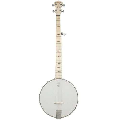 5-String Banjo: Goodtime by Deering Banjo Company