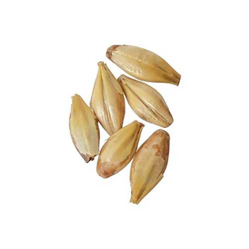 Brewmaster - GR515E Malt - Crystal 15L - 5 lb|Glomarket