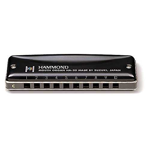 その他のハーモニカ (スズキ-プロマスター-ハモンド-F#) Other Harmonica (Suzuki-Promaster-Hammond-F#)