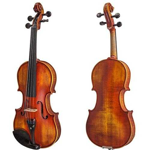 Paititi 4/4 Full Size VN07A Solid Wood Ebony Fitted Acoustic Violin with Oblong Case, Brazilwood Bow, Tuner, Shoulder Rest and Rosin (PTTVN07A) 38,812円