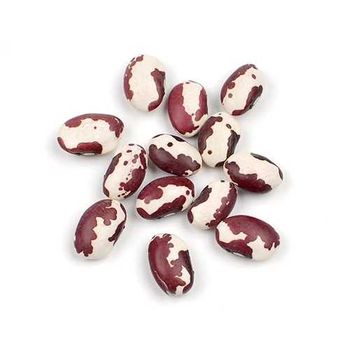 アナサジビーンズ、10ポンドバッグ D'allesandro Anasazi Beans, 10 Lb Bag