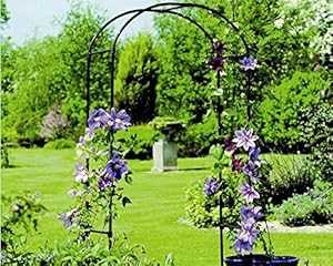 Gardman R350 ローズガーデンアーチ形、19 x 39 x 75 in、黒いこと Gardman R350 Rose Garden Arch, 19 x 39 x 75 inches, Black