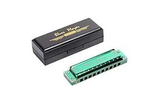 East top 10 Hole Professional Diatonic Blues Harmonica Key of C Musical Instrument for Professional Band Player, Beginner, Students, Children, Kids(T008Z)