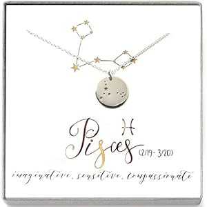 魚座の星座スターリングシルバー占星術星座ホロスコープネックレス - 彼女へのギフト LoveItPersonalized Pisces Zodiac Sign Sterling Silver Astrology Constellation Horoscope Necklace - Gift for Her