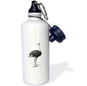 3dRose ウォーターボトル、21オンス、ホワイト 3dRose Water Bottle, 21oz, White