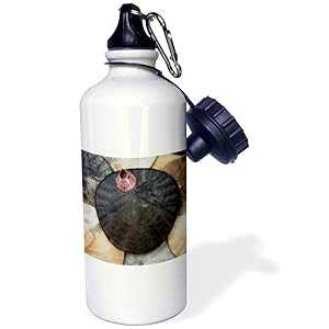 3dRose ウォーターボトル、21オンス、ホワイト 3dRose Water Bottle, 21oz, White