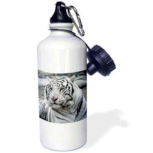 3dRose White Tiger Sports Water Bottle, 21 oz, White