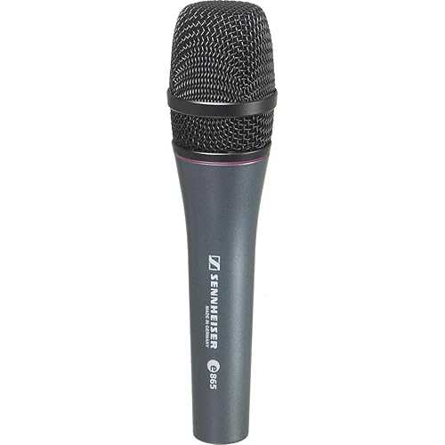 ゼンハイザー e865 リードボーカルコンデンサーマイク Sennheiser Pro Audio Sennheiser e865 Lead Vocal Condenser Microphone