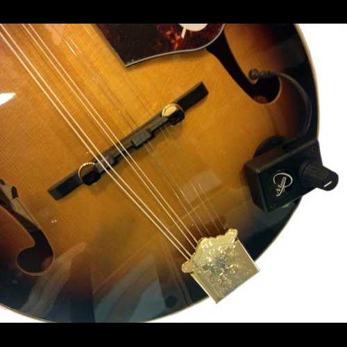 マイヤーズピックアップによるフレキシブルなマイクログースネックを備えたマンドリンピックアップ Mandolin Pickup with Flexible Micro-Gooseneck by Myers Pickups