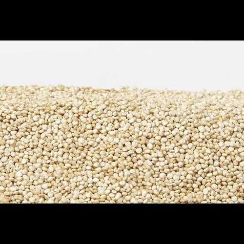 オーガニックキノア - 55ポンド Dylmine Health ORGANIC QUINOA- 55lb