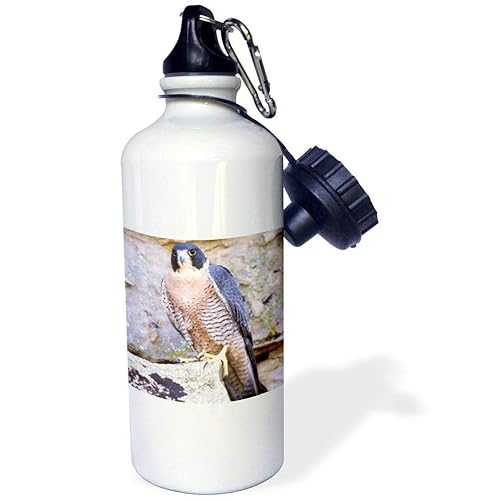 3dRose Peregrine Falcon, Bird Native To Us-Na02 Dno0142-David Northcott Sports Water Bottle, 21 oz, White