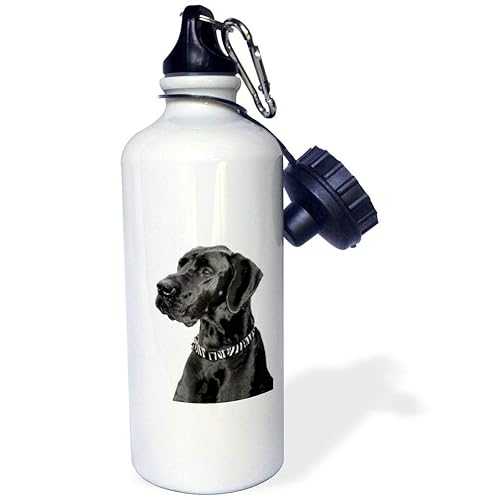 3dRose Black Great Dane Sports Water Bottle, 21 oz, White