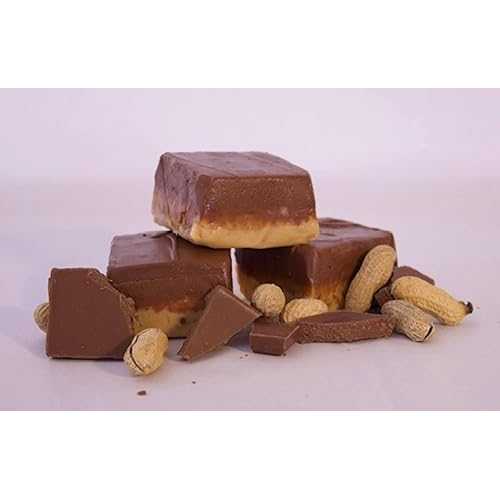 Betsy's Fancy Fudge CHOCOLATE PEANUT BUTTER FUDGE, 1 LB in 4 Wrapped Pieces, Gluten Free Candy, Fresh Artisan Fudge Makes Great Gift