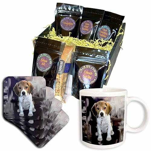 3dRose Beagle コーヒー ギフト バスケット、マルチ 3dRose Beagle Coffee Gift Basket, Multi