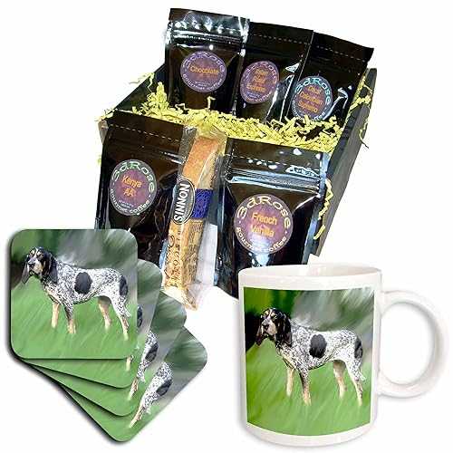 3dRose Blue Tick Coonhound Coffee Gift Basket, Multi