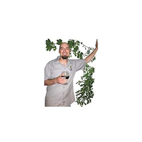 ゲイリー・グラスのミア・ウォレス・マイボック - (抜粋) Homebrewers Outpost Gary Glass' Mia Wallace Maibock - (Extract)