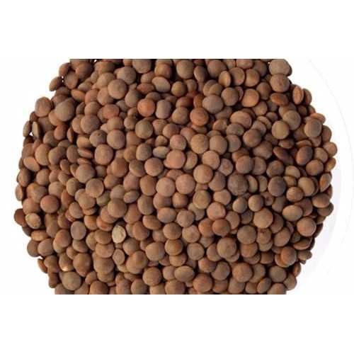 有機茶色レンズ豆 - 24.948ポンド Dylmine Health ORGANIC BROWN LENTILS- 24.948lb