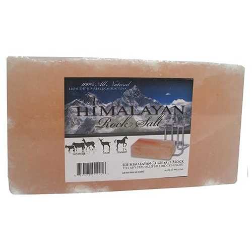 Talisker Bay Himalayan Salt Brick 4Lb